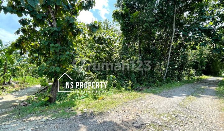 tanah murah cocok untuk perumahan sambi boyolali  2