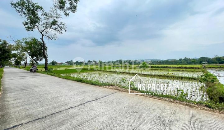 Cheap land Simo Boyolali near Simo market. Cheap land Simo Boyolali near Simo market.