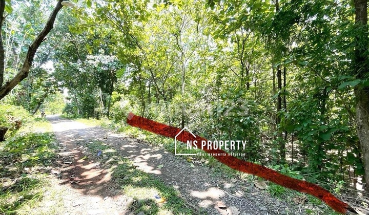 Land for Sale Cheap Simo Boyolali Near Simo Market