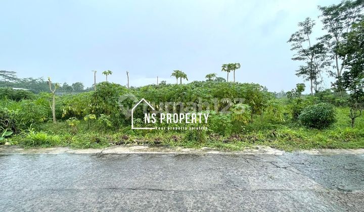 Tanah Murah Area Pabrik Teras Boyolali Dekat Tol Tanah Murah Area Pabrik Teras Boyolali Dekat Tol