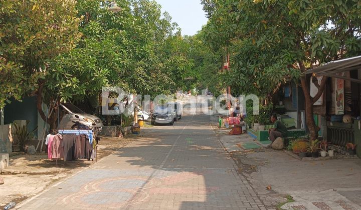 DIJUAL RUMAH MURAH BU 2