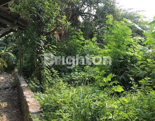 DIJUAL TANAH STRATEGIS PINGGIR JL RAYA HARGA BISA NEGO 2