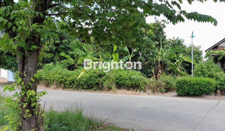 LAHAN BAGUS UNTUK TEMPAT TINGGAL,GUDANG ATAU USAHA LAINNYA.DIPINGGIR JALAN YANG RAMAI,DESA GEBANG KENDAL 1