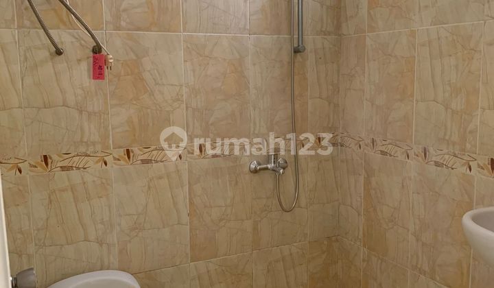 Gardenia E 1 No. 4 2