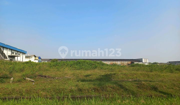 Hot Deal Ready-to-Build Plot in the Area Hot Deal Ready-to-Build Plot in the Area