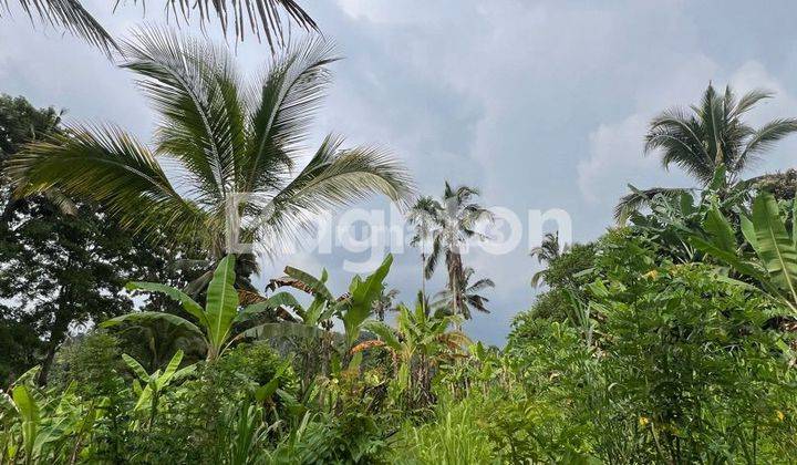 TANAH AREA PAYANGAN UBUD 2