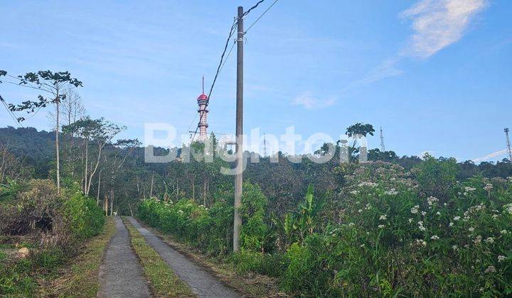 TANAH VIEW BUKIT DI AREA BULELENG 2