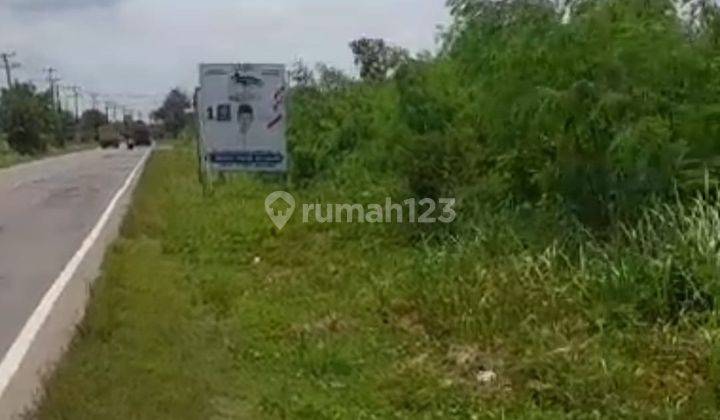 Dijual Tanah Kebun 4Ha, SHM Di Sukajadi, Talang Kelapa Banyuasin  2