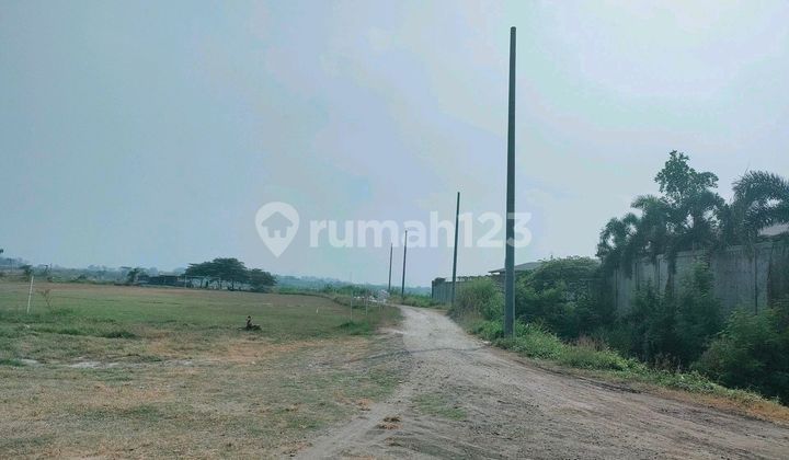 Tanah Kavling Area Bambe_driyorejo