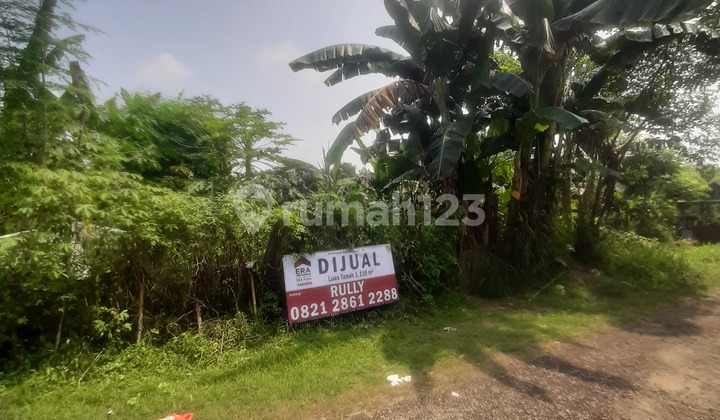 Tanah Murah Lokasi Strategis Tonjong Tajur Halang Bogor Tanah Murah Lokasi Strategis Tonjong Tajur Halang Bogor