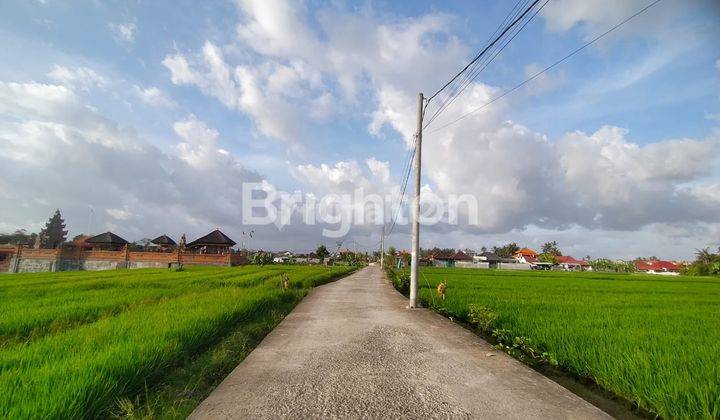 Land in Cemagi 32 Are LeaseHold 25 Years 1