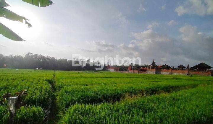 Di kan Tanah di Cemagi 32 Are LeaseHold 25 Tahun 2