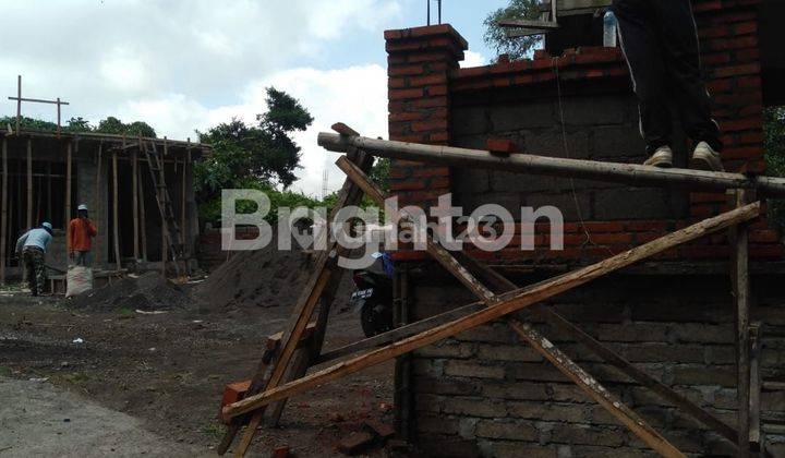 BUC FreeHold land in Tegalalang-ubud 2