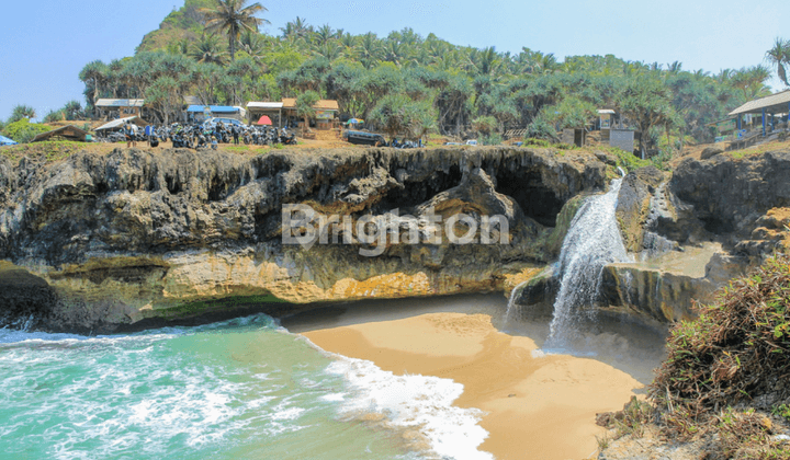 KAWASAN ASRI PINGGIR BIBIR PANTAI COCOK UNTUK VILA ATAU GLAMPING 2