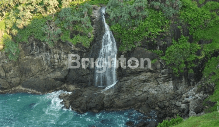 KAWASAN ASRI PINGGIR BIBIR PANTAI COCOK UNTUK VILA ATAU GLAMPING 1