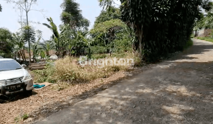 TANAH RUMAH KEBUN 2604M2 SHM IMB CIANJUR 2