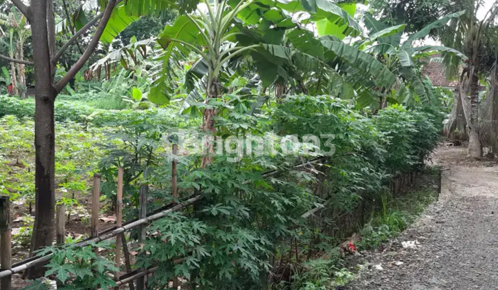 TANAH STRATEGIS KALIBARU CILODONG DEPOK LOKASI PREMIUM SIAP BANGUN