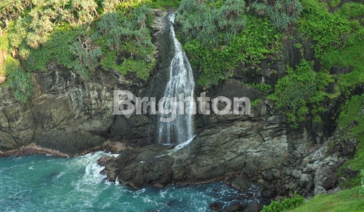 KAWASAN ASRI PINGGIR BIBIR PANTAI COCOK UNTUK VILA ATAU GLAMPING KAWASAN ASRI PINGGIR BIBIR PANTAI COCOK UNTUK VILA ATAU GLAMPING