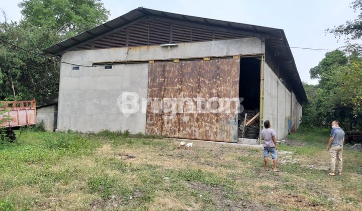 GUDANG SERBAGUNA DENGAN TANAH YANG LUAS CIKANDE SHM