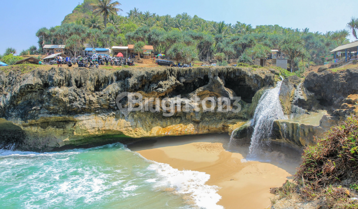 KAWASAN ASRI PINGGIR BIBIR PANTAI COCOK UNTUK VILA ATAU GLAMPING KAWASAN ASRI PINGGIR BIBIR PANTAI COCOK UNTUK VILA ATAU GLAMPING