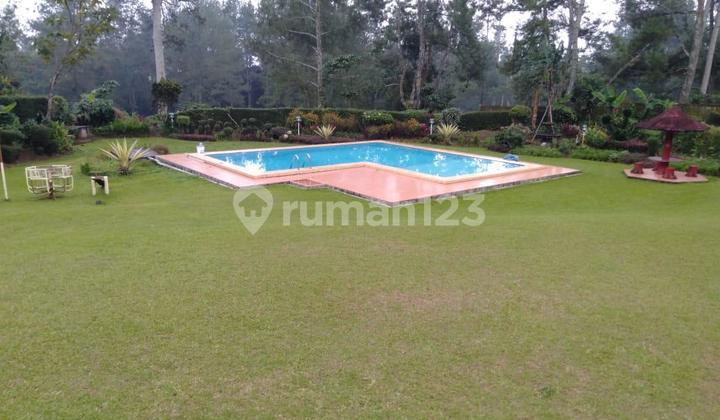 For Sale: WIRANTI Green Villa, Ready to Operate. For Sale: WIRANTI Green Villa, Ready to Operate.