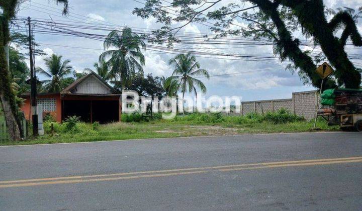 Dijual Tanah/lahan Pinggir Jalan Poros Soekarno - Hatta Km 10 Cocok Dibuat Gudang, Ruko,perumahan Harga Nego  2