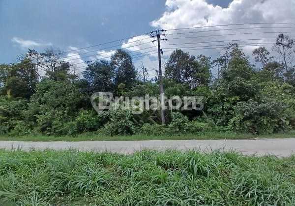 Flat Land Ready for Building in Pulang Balang, Balikpapan for Sale Flat Land Ready for Building in Pulang Balang, Balikpapan for Sale