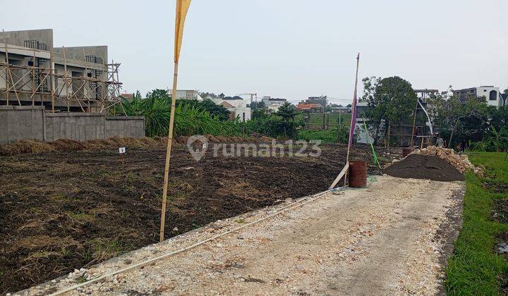 Plot No. 8 Swampy Land Plot In Canggu Badung Bali 2