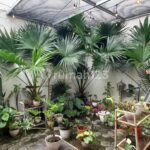 Disewakan Cluster Vernonia Summarecon Bekasi 2