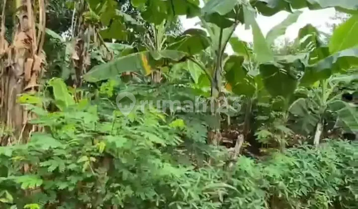 Dijual Cepat Dan Murah Tanah Kosong Di Lokasi Strategis Mustikajaya Bekasi Dijual Cepat Dan Murah Tanah Kosong Di Lokasi Strategis Mustikajaya Bekasi