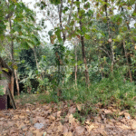 Di Jual Cepat Lahan Siap Bangun Dekat Grand Wisata Bekasi Di Jual Cepat Lahan Siap Bangun Dekat Grand Wisata Bekasi