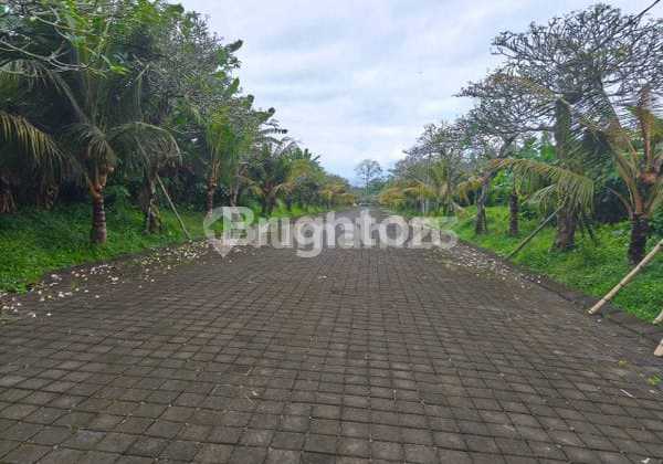 Tanah Kavling Siyut Gianyar Row Jalan 14 M Tanah Kavling Siyut Gianyar Row Jalan 14 M