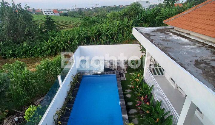 New Villa With Field Rice Scenery In Bantan Tibubeneng Canggu 2