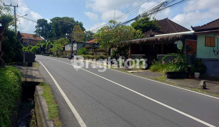 Toko 1 Lantai Saja Di Raya Tumbak Bayuh Mengwi 2