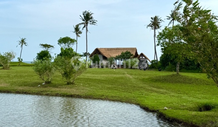 Beautiful Plot of Land with Rice Field and Beach Views in Belong, Tabanan