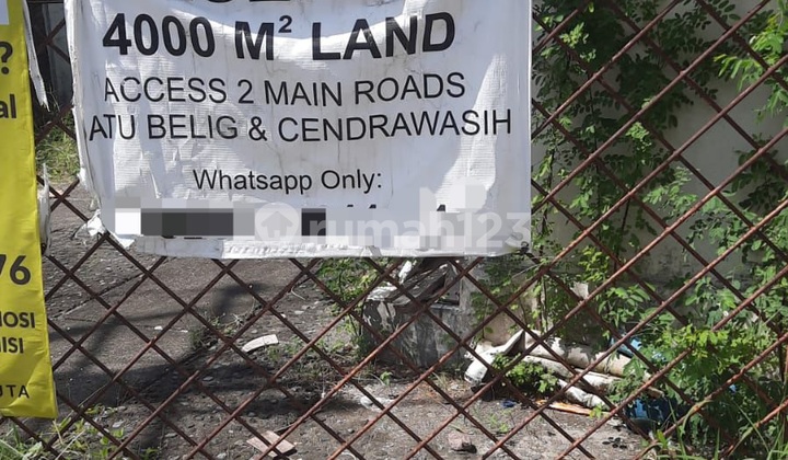 Premium Land Lease in Batu Belig Ideal for Villas & Commercial Use