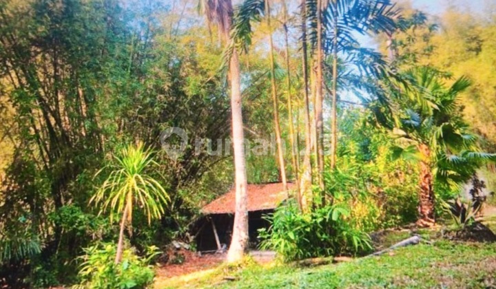 Pererenan Investment Land – 30 Years Lease, Ready With Building Permit (IMB) Pererenan Investment Land – 30 Years Lease, Ready With Building Permit (IMB)