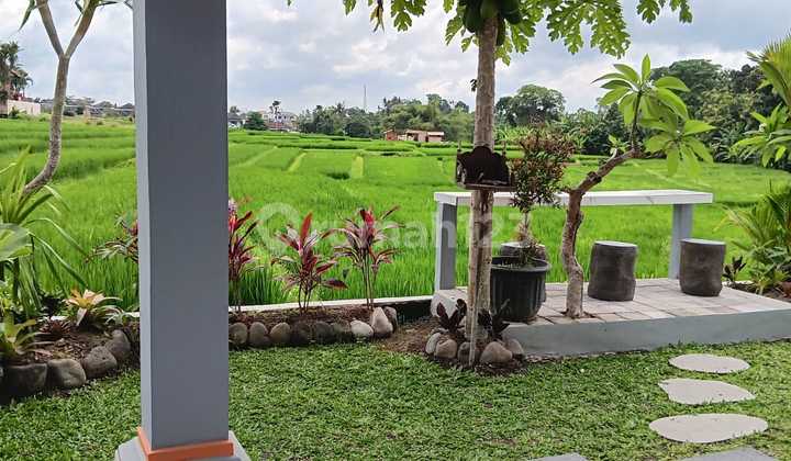 Rice Field View Rental House