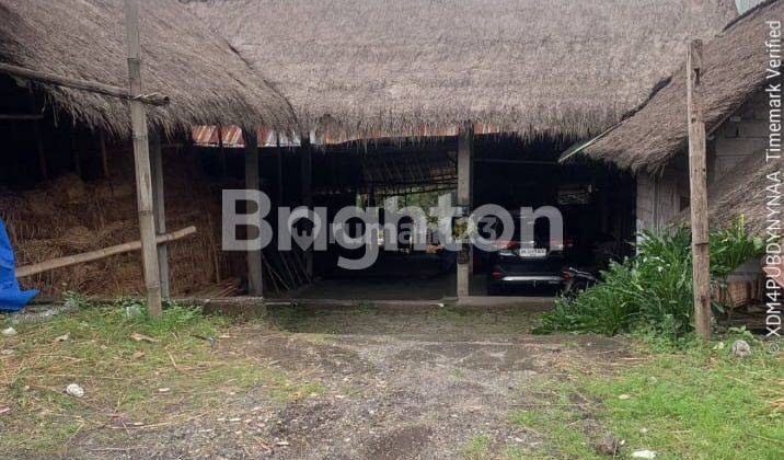 Strategic Land on the Main Road in Canggu 1