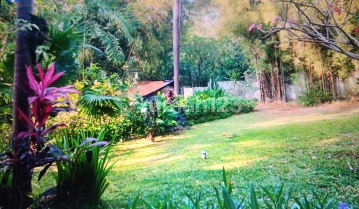 Pererenan Investment Land – 30 Years Lease, Ready With Building Permit (IMB) Pererenan Investment Land – 30 Years Lease, Ready With Building Permit (IMB)