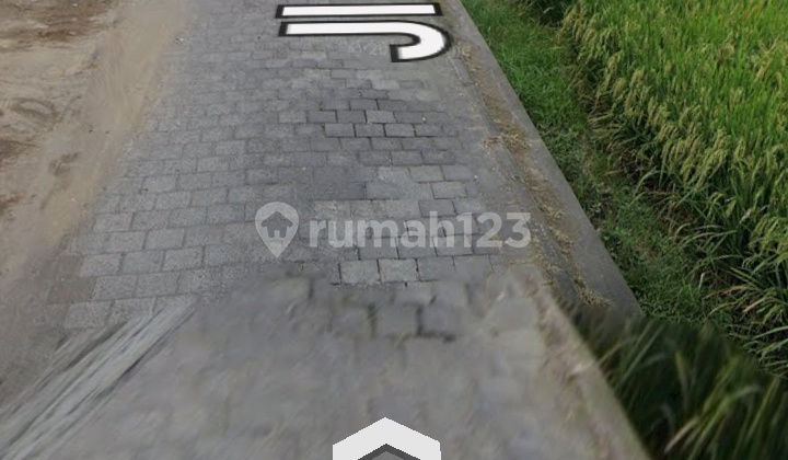 Tanah Siap Bangun Di Zona Kuning View Sawah Lokasi Buduk Tanah Siap Bangun Di Zona Kuning View Sawah Lokasi Buduk