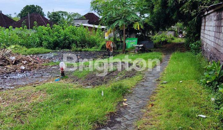 LAND FOR RENT IN BUDUK PERFECT FOR BUILDING A VILLA 2