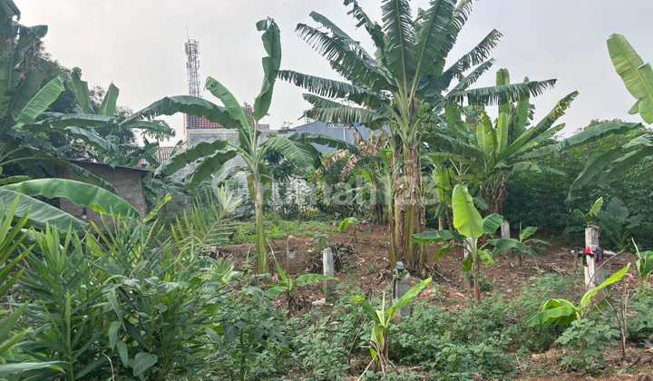 FOR SALE 1100M2 LAND IN RAWA DENOK, PANCORAN MAS, DEPOK