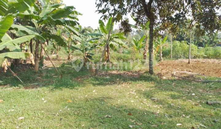 FOR SALE 6000 SQ M LAND IN PARUNG BOGOR FOR SALE 6000 SQ M LAND IN PARUNG BOGOR