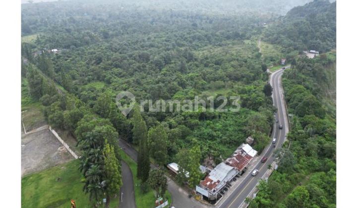 FOR SALE 9 HECTARES OF LAND IN RAYA PADANG PARIAMAN BUKIT TINGGI FOR SALE 9 HECTARES OF LAND IN RAYA PADANG PARIAMAN BUKIT TINGGI