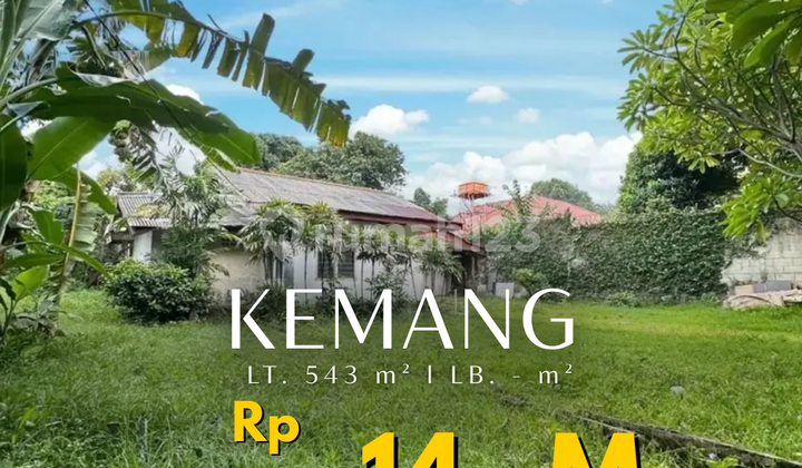 Rumah Tua Hitung Tanah Lokasi Strategis di Kemang Jakarta Selatan Rumah Tua Hitung Tanah Lokasi Strategis di Kemang Jakarta Selatan