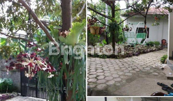 Rumah Induk plus Kos-kosan 8 pintu asri strategis harga Nego 2