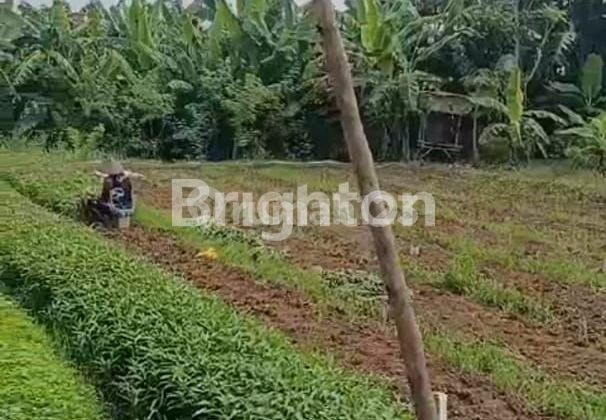 dijual lahan usaha karawang dijual lahan usaha karawang