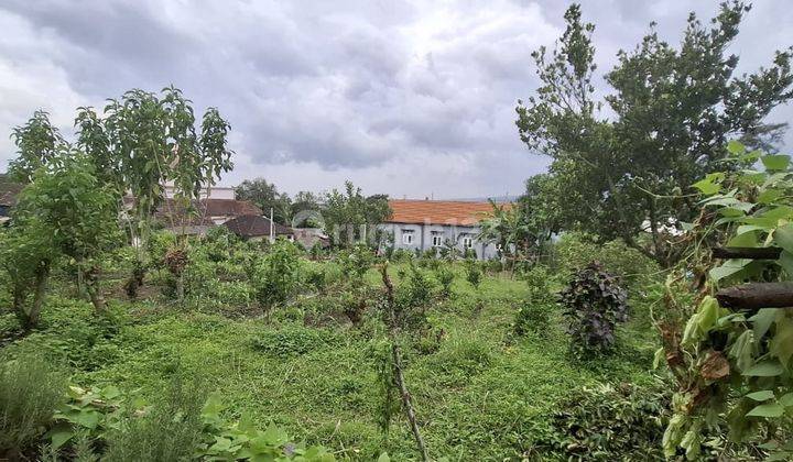 Dijual Tanah Strategis Di Kawasan Wisata Batu Jawa Timur Cocok Untuk Villa 1