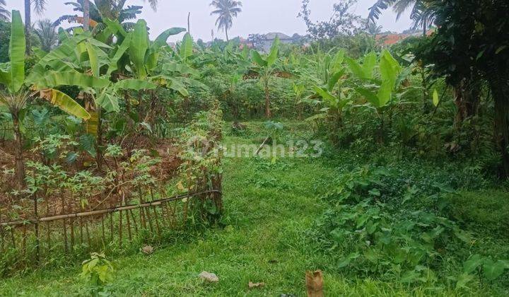 Dijual Tanah Luas Di Daerah Sukaraja Bogor Bagus Untuk Perumahan/apartemen 2